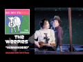 The Weepies - Hummingbird [Audio]