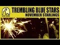 TREMBLING BLUE STARS - November Starlings ...