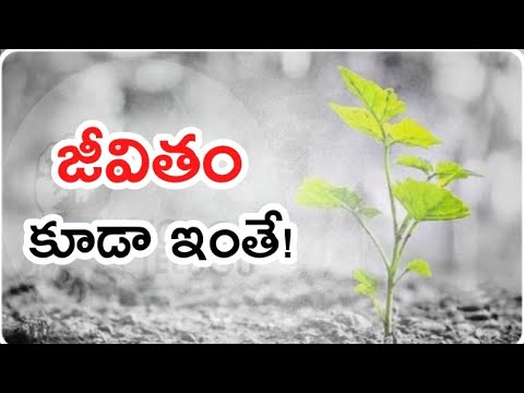 Game of Life, Be Fearless.. | Telugu Motivation | Voice Of Telugu Video