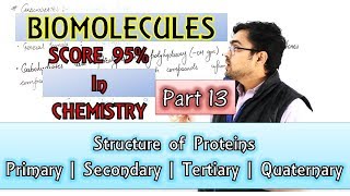 Biomolecules || Structure & Shape of Proteins || Part 13 - By Mrityunjay Sir