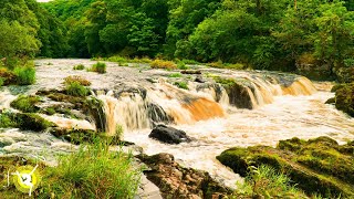 Powerful Waterfall Sounds - River Cascade - White Noise - Sleep, Relaxation, Meditation - 4k