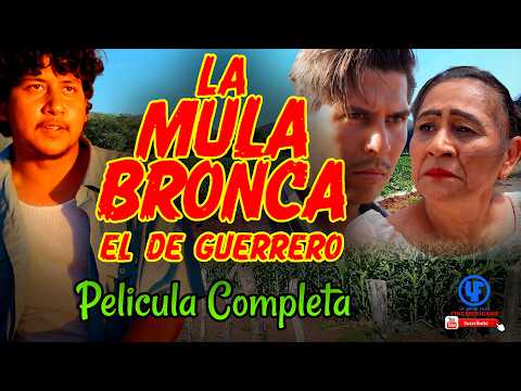 "La Mula Bronca el de Guerrero " Película Completa Mega Estreno de Julio