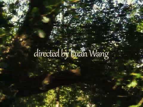 Love is a Flower in the Sun