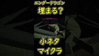 エンダードラゴンが埋まってるんですけど？ｗ　【マイクラ/マインクラフト】 #shorts