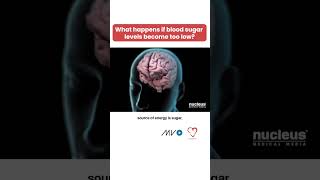 Download lagu What happens if blood sugar levels become too low? mp3 Download lagu What happens if blood sugar levels become too low? mp3