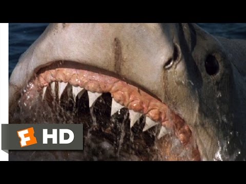 Jaws: The Revenge (2/8) Movie CLIP - A Big Fish (1987) HD