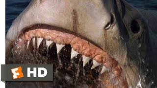 Jaws: The Revenge (2/8) Movie CLIP - A Big Fish (1987) HD