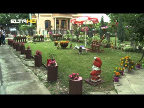 BL HRONIKA 23 06   BIRAMO DVORISTE 7