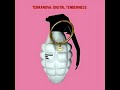 TERRANOVA – Digital Tenderness (2004) FULL ALBUM - Electronic, Electro