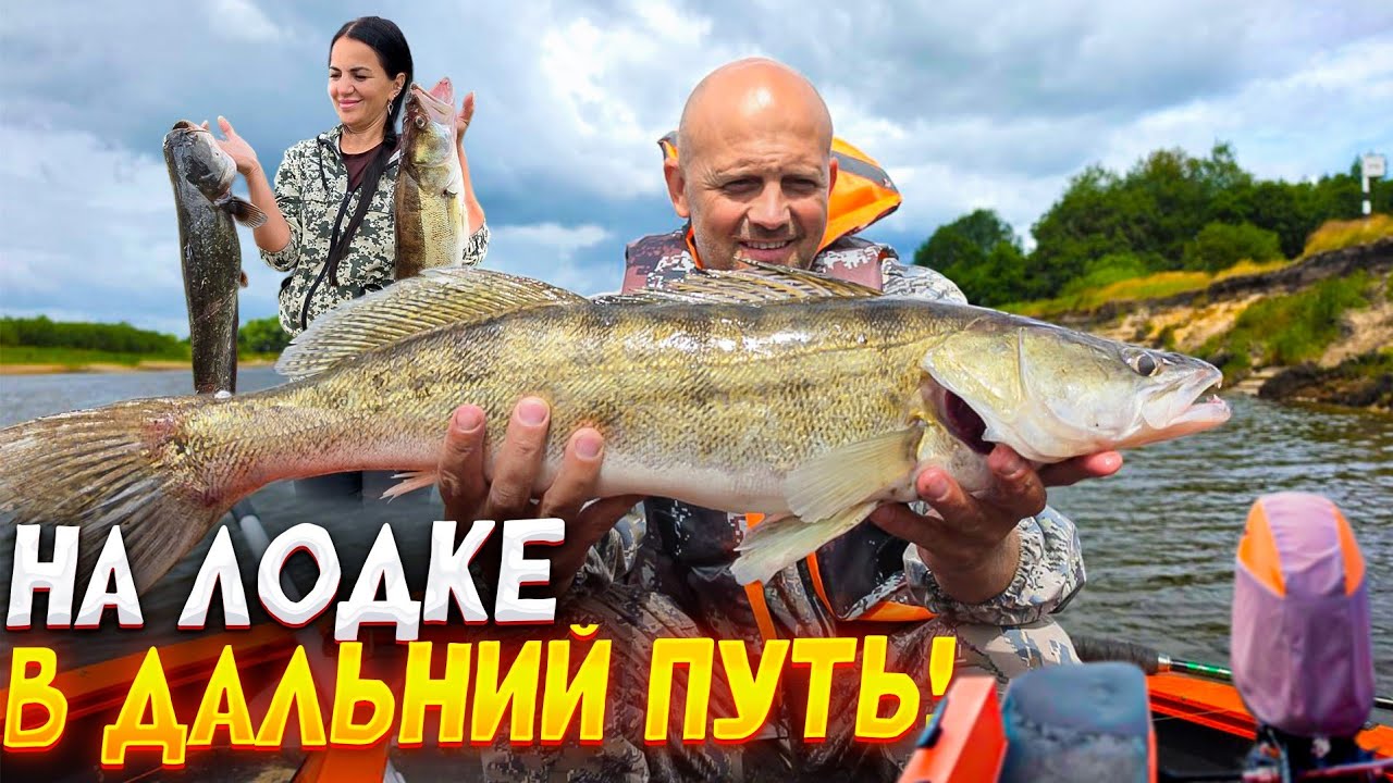 Путешествие по Припяти на лодке. Такую реку не узнаём. Законы дикого леса:ког