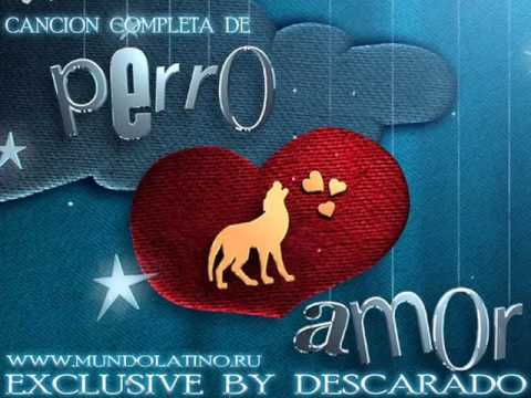 Carlos Ponce - Perro Amor (Cancion completa de Perro Amor)