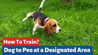 How to Train Your Dog to Poop in a Designated Area?