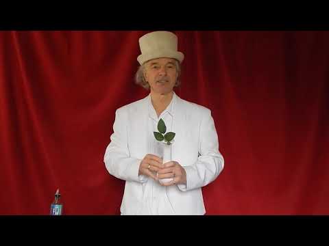 HOW TO MAGIC BY G SPARKS - FLOWER POWER