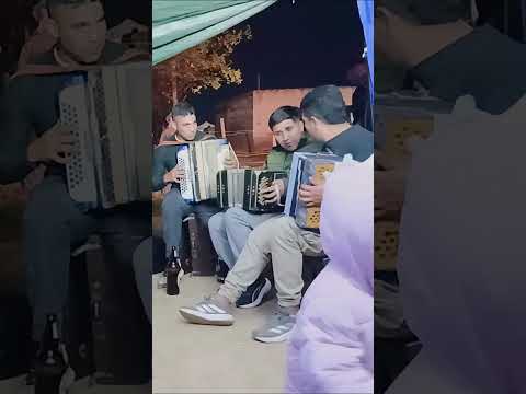 Chamame en Mailin 2026 #shortvideo #mailin #santiagodelestero #argentina