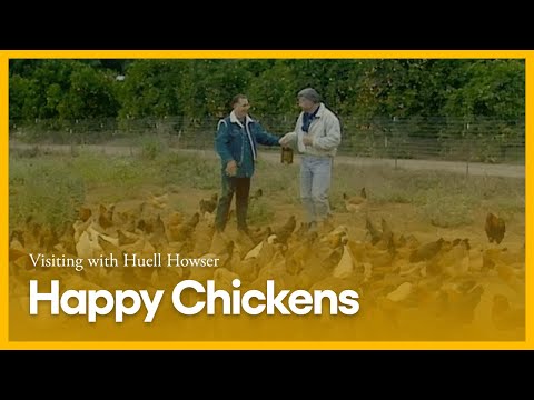 Visiting with Huell Howser: Happy Chickens