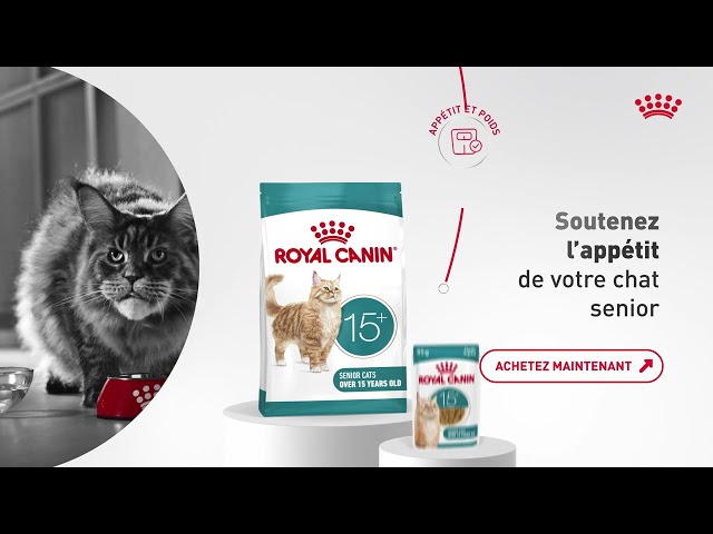 Royal Canin Ageing 15+