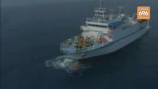 sei-vulcani-sottomarini-scoperti-nel-golfo-di-napoli