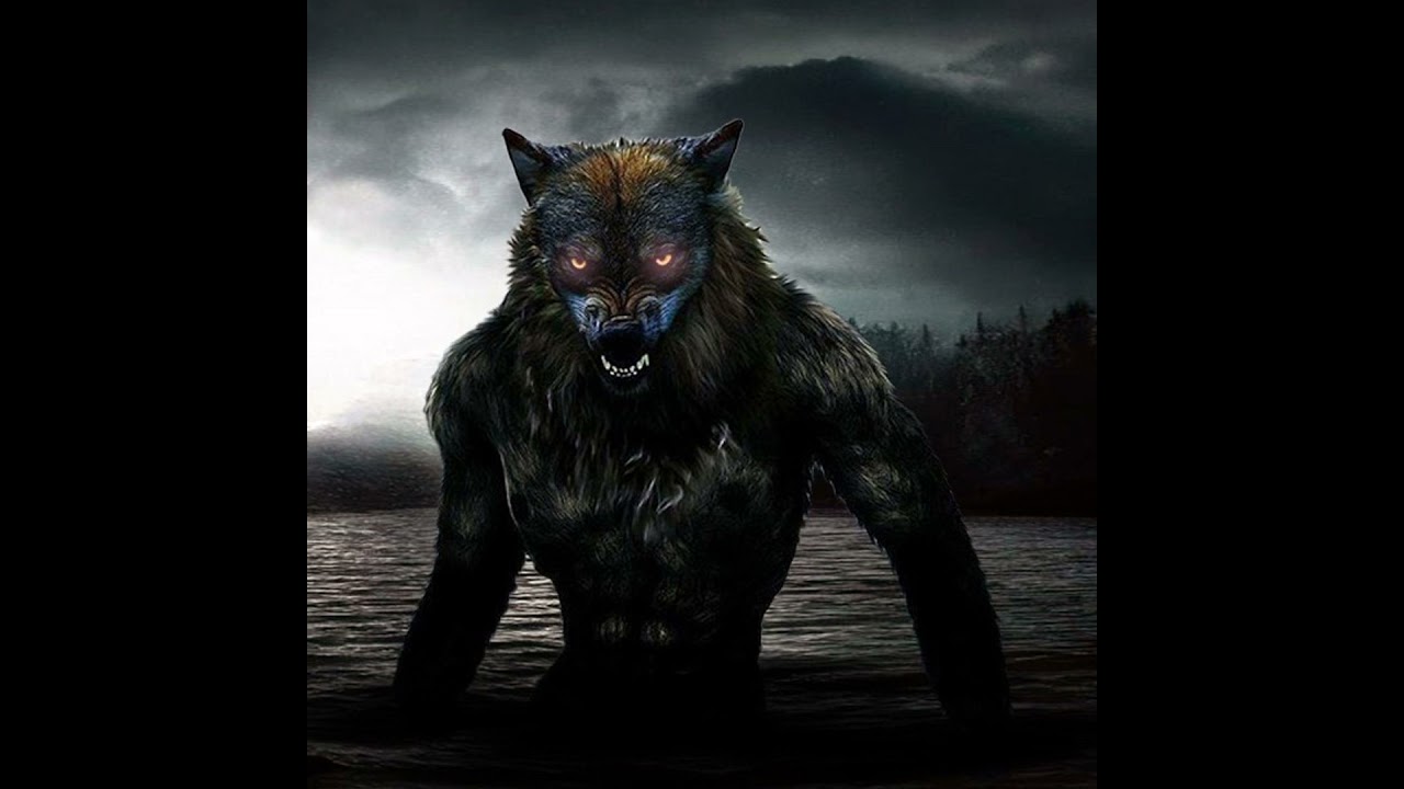 Especial Nahuales (Recopilación) Historias De Terror - REDE