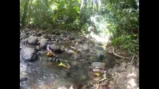 preview picture of video 'Walking in the creek to Private Costa Rica Waterfall'