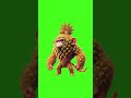 Shimpanzinni Ananasini Italian Brainrot Green Screen Shorts Greenscreen Meme Italianbrainrot