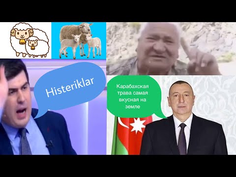 ալիևը խոստովանեց ինչու՞ է ցանկանում գրավել Ղարաբաղը - ՀՈՒՄՈՐ #5 // HUMOR #5