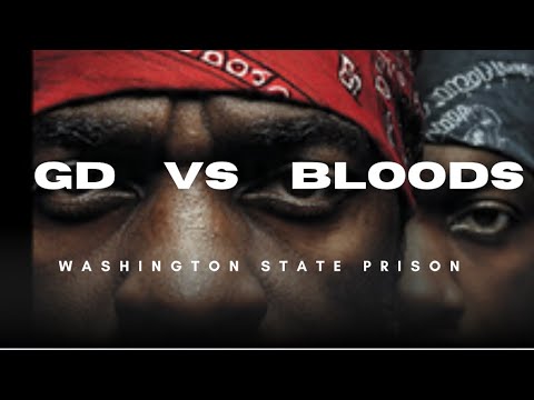 GDs vs Bloods: Prison Gang War Spreads Across Georgia State Prisons