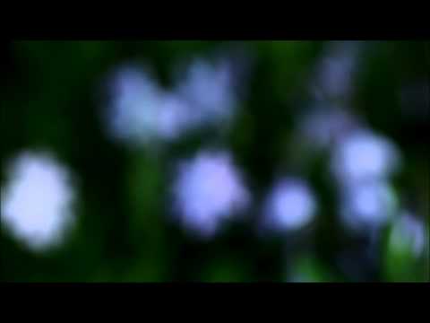 2014/04/27 - Sights and Sounds in our garden