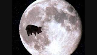 PIGS ON THE WING 2 - live (Pink Floyd)
