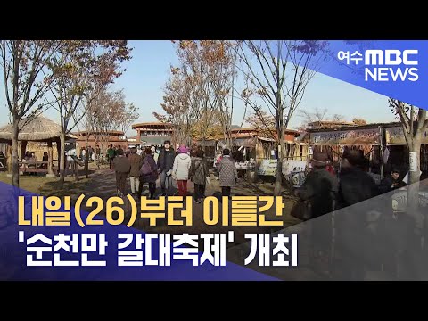 내일(26)부터 이틀간 '순천만 갈대축제' 개최 (241025금/뉴스데스크)