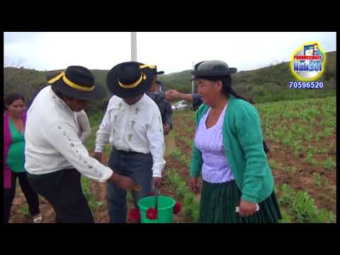 Antenor Silos - Tarijeñita