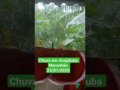 🇧🇷 CHUVA EM ANAJATUBA, MARANHÃO 23/01/2026 #plantas #chuvas #vidanaroça #vidanaroça #chuva #sitio