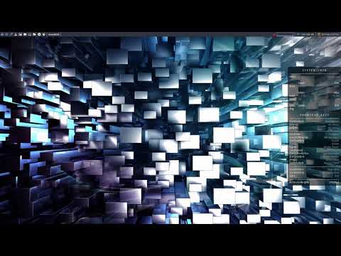 ArcoLinux : 967 do not update qtile today or how to prevent an update or how to downgrade