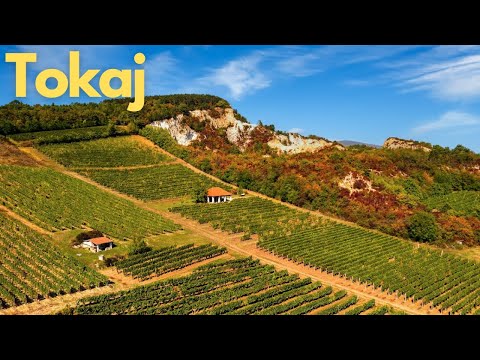 Discovering Tokaj: Hungary's Wine Paradise 🍇