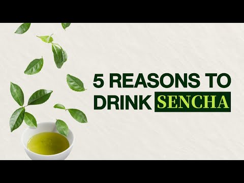 5 Reasons to Drink Sencha Green Tea