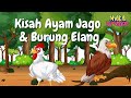 Dongeng Kisah Ayam Jago Dan Burung Elang Cerita Dan Dongeng Nusantara Sahabat Belajar Anak