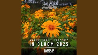 Stay Gold (In Bloom 2025)