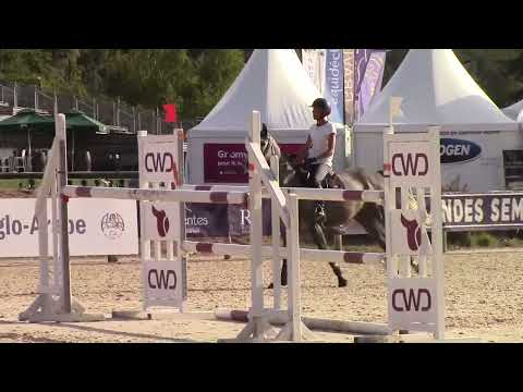 Illicite du Plessis (Ogrion des Champs x Untouchable M)