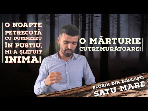 ‼️ O noapte petrecută cu Dumnezeu în pustiu! mărturie fratele Florin Borlești SM
