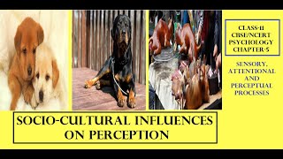 CLASS-11, PSYCHOLOGY, CHAPTER-5, Socio-Cultural Influences on Perception #cbse #ncert #psychology