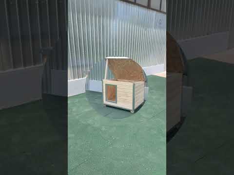 Prezentare 360 Cusca Caine Izolata Cu Profile Metalice Antiros DLNI2PMZ MxS