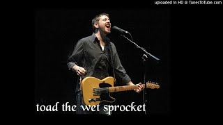 Toad The Wet Sprocket - Stupid