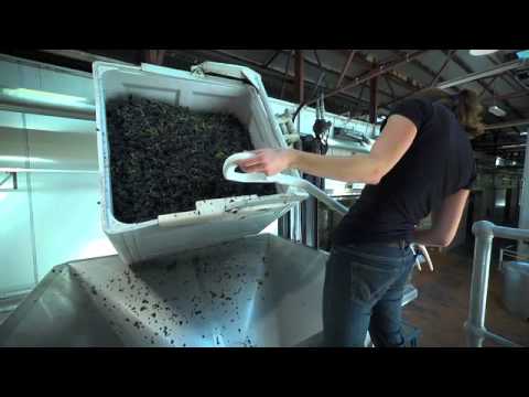 Montalto's Wine Making Philosophy