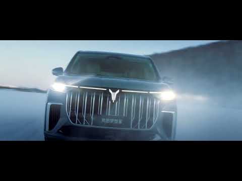 2022 0408 VOYAH MPV Dreamer Winter testing