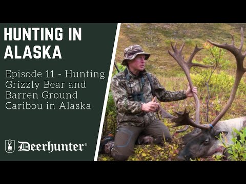 chasse en Alaska