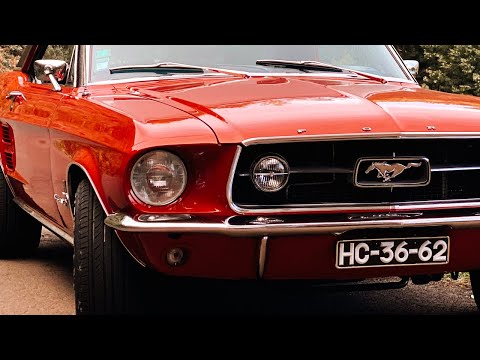 Afonso Andrade - Sozinho ao Luar (Official Visualizer)