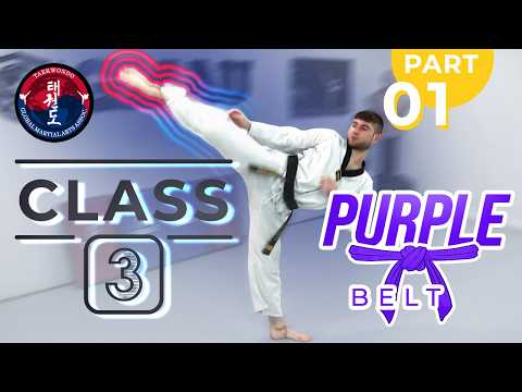 Taekwondo - Purple Belt - Class 3 (Part 1) thumbnail