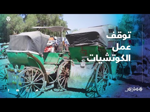 استمرار توقف الكوتشيات بتمارة يؤزم المهنيين.. تانطلبو من الناس المسؤولين يشوفو فينا