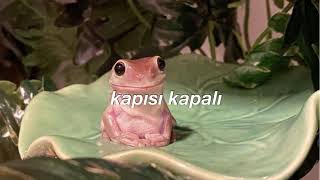 kapısı kapalı - adamlar | slowed + reverb