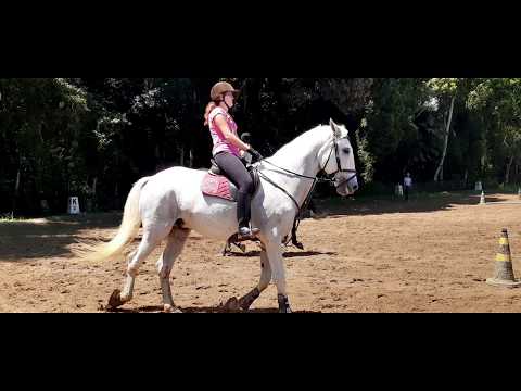 Treino # 100-A ginástica de chão que nos ajuda