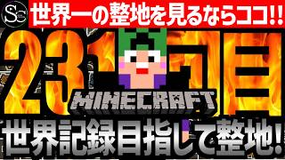 【🔴Minecraft】目指せ世界記録！整地ノルマ達成するまで今夜も眠れない‼️～231回目～